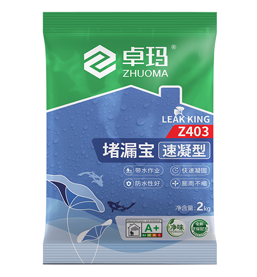 Z403堵漏宝（速凝型）  